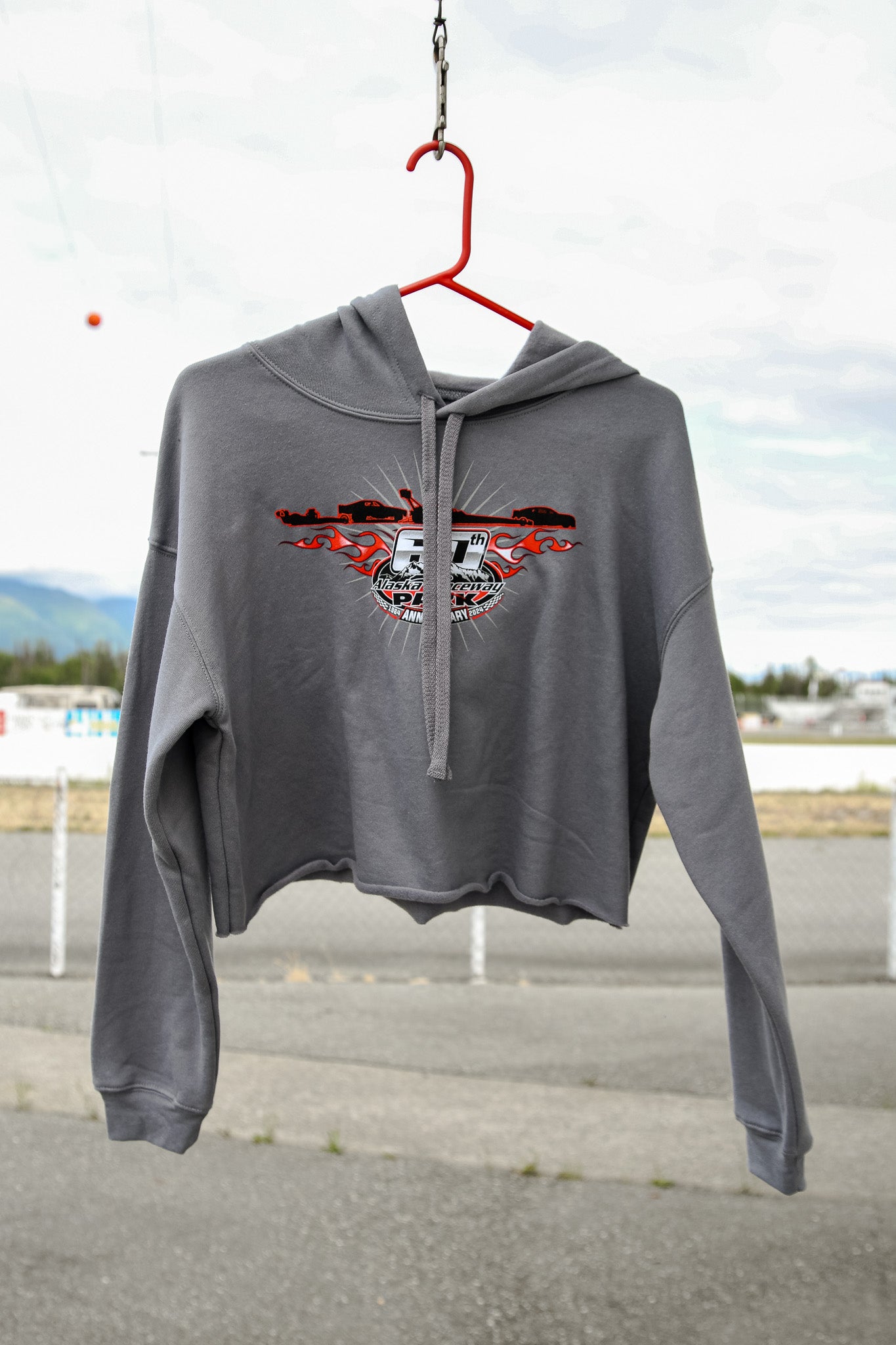 60th Anniversary Gray Crop Hoodie