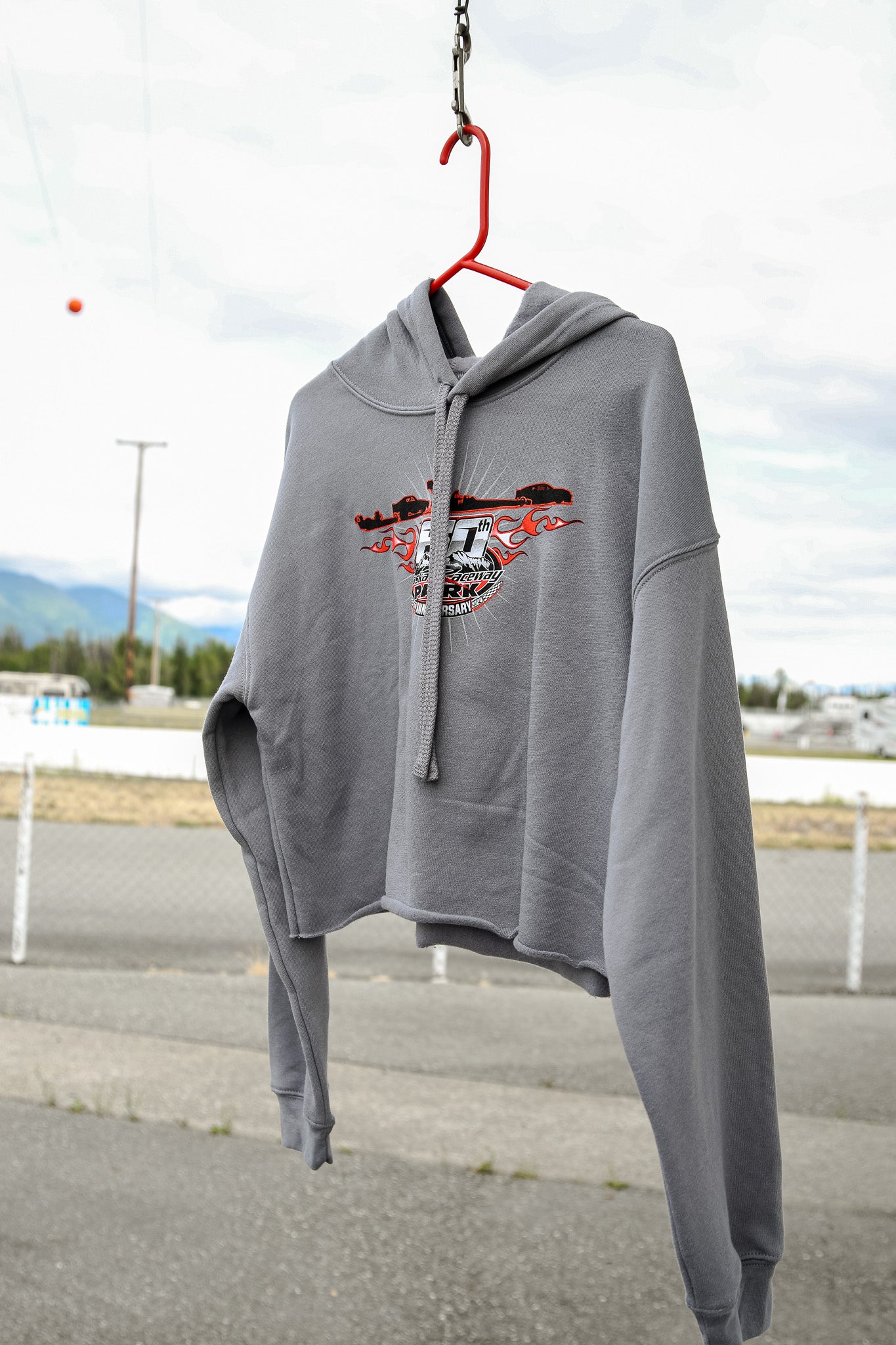 60th Anniversary Gray Crop Hoodie