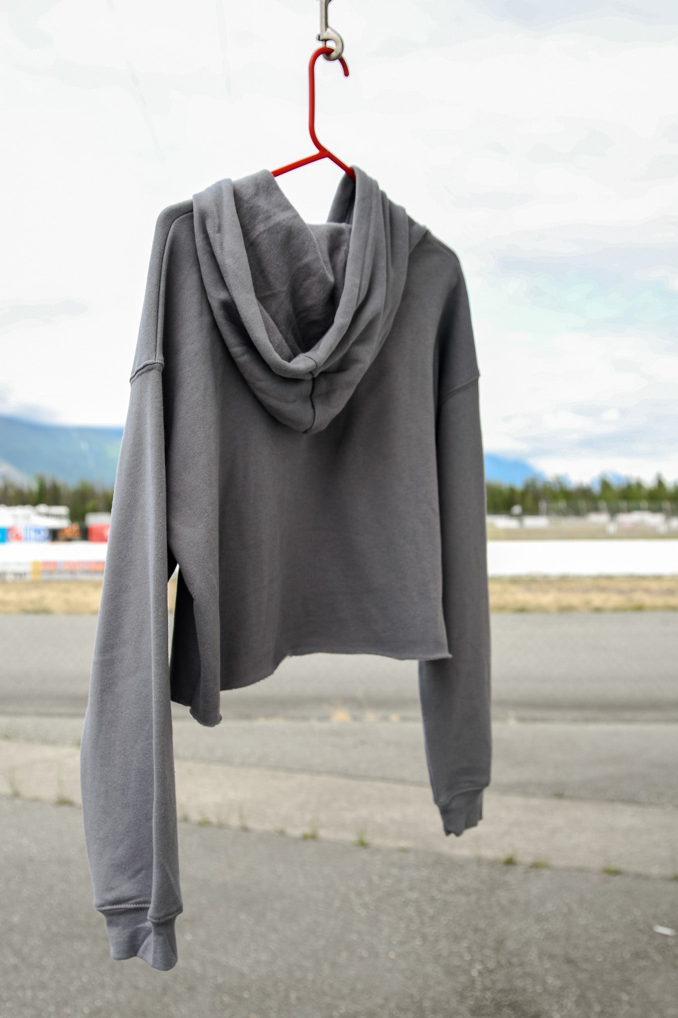 60th Anniversary Gray Crop Hoodie